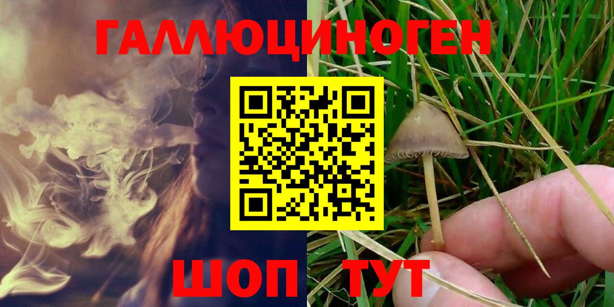 Галлюциногенные грибы мухоморы Чебаркуль