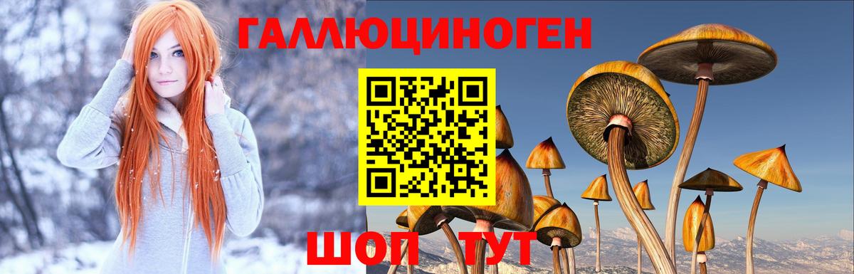 Галлюциногенные грибы прущие грибы  Вход с VPN  Псилоцибиновые грибы мухоморы  Чебаркуль 